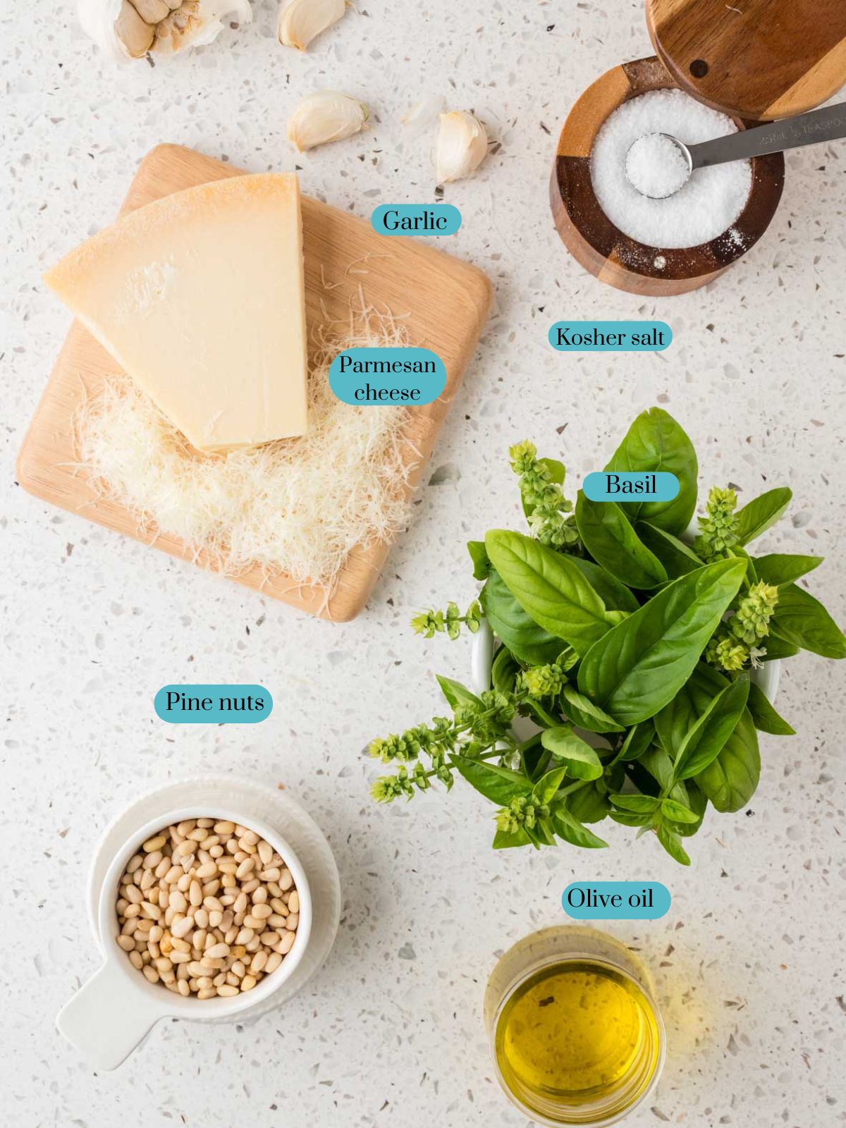 Ingredients for basil pesto sauce which include: garlic, kosher salt, parmesan cheese, fresh basil, pine nuts and olive oil displayed on the counter.