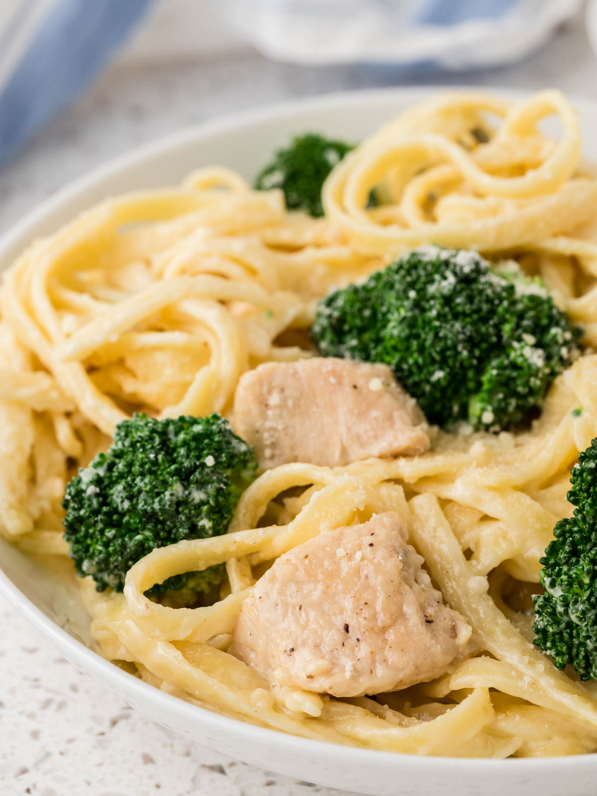 Chicken broccoli alfredo pasta on a plate. 