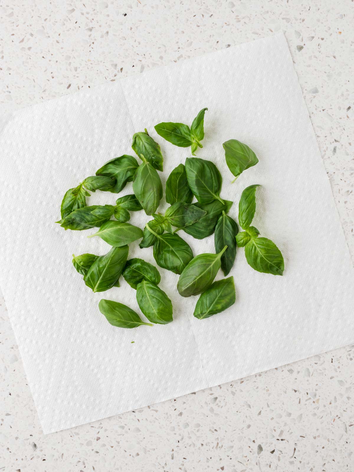 Basil leaves drying on a paper towel. 