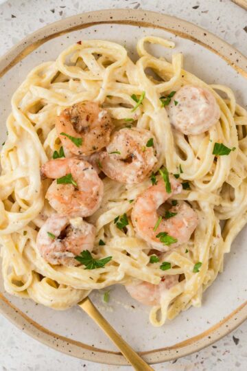 Shrimp fettuccine alfredo plated with a fork and garnished with parsley.