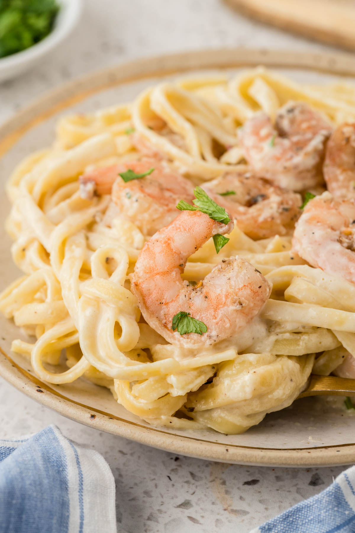 Shrimp fettuccine alfredo plated and garnished with parsley.