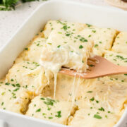 Chicken alfredo lasagna roll ups in a baking dish.