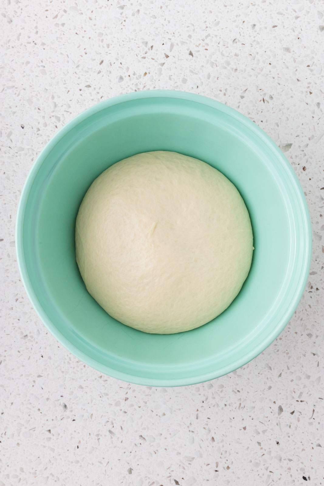 Pizza dough in a bowl ready to rise.