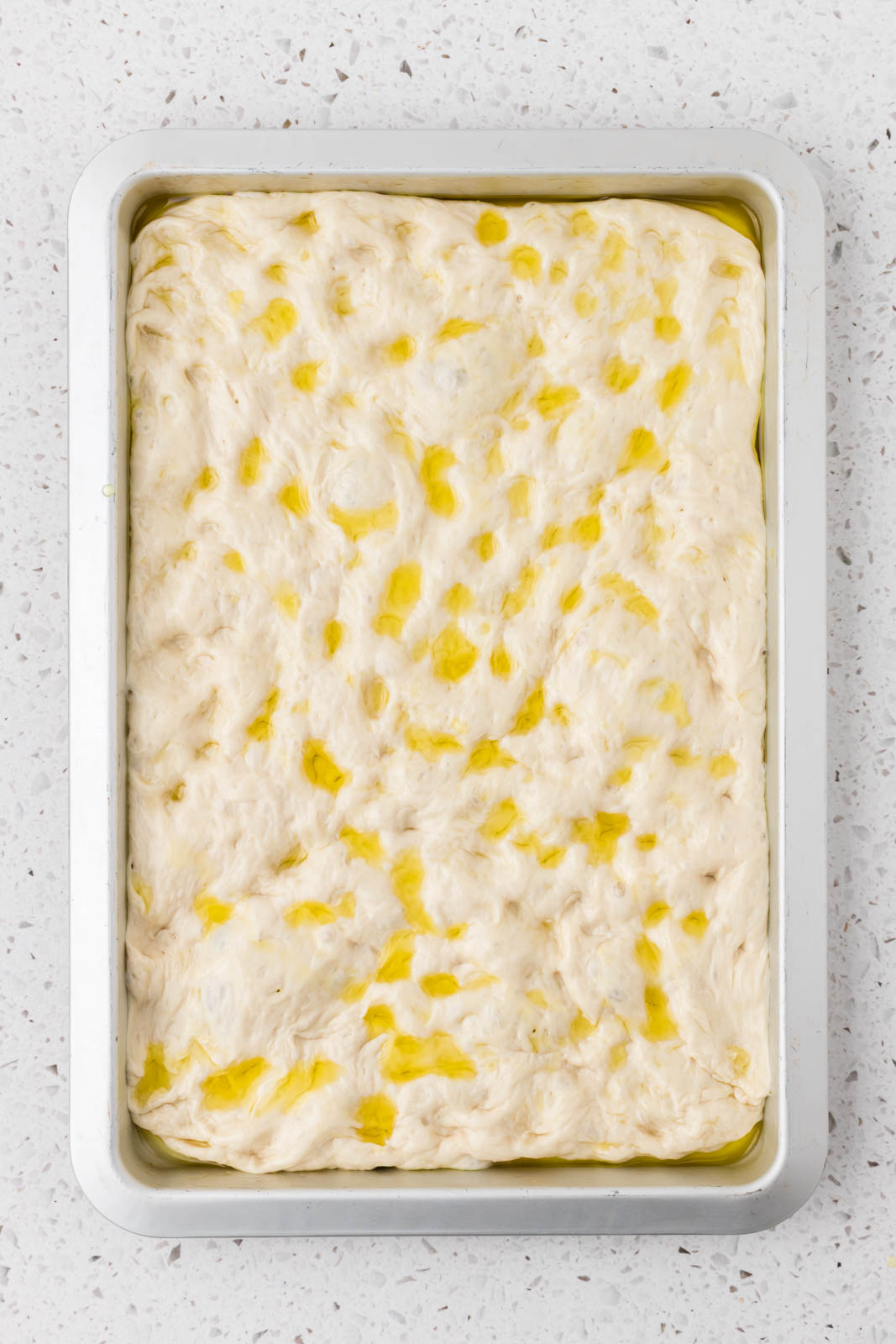 Focaccia dough with olive oil and depressed with dimples.