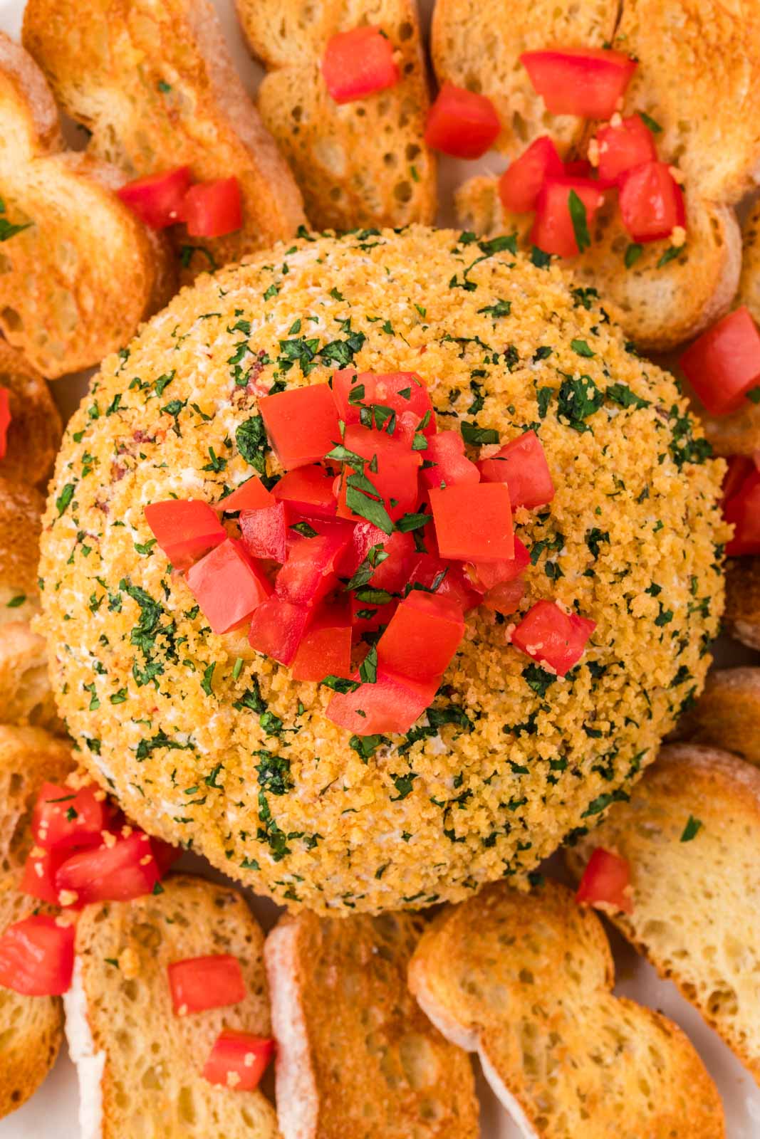 Bruschetta cheeseball
